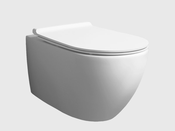 VIGNONI Rimless Wall Hung Toilet with Seat